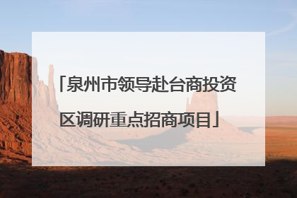 泉州市领导赴台商投资区调研重点招商项目